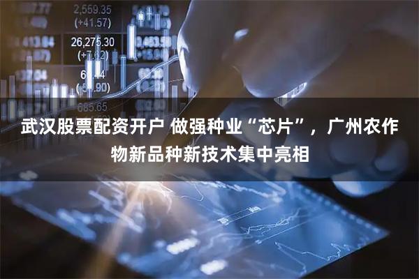 武汉股票配资开户 做强种业“芯片”，广州农作物新品种新技术集中亮相