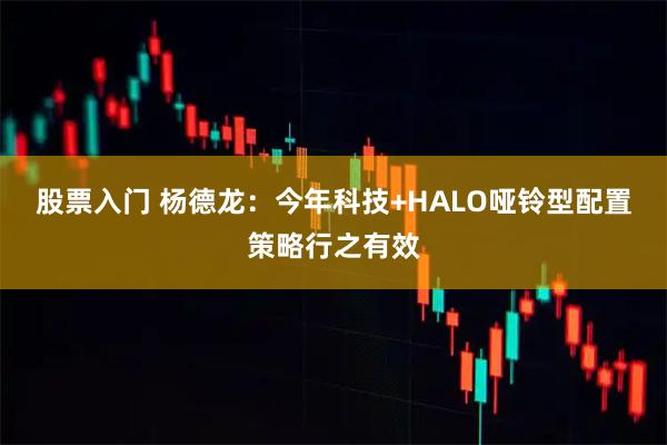 股票入门 杨德龙：今年科技+HALO哑铃型配置策略行之有效